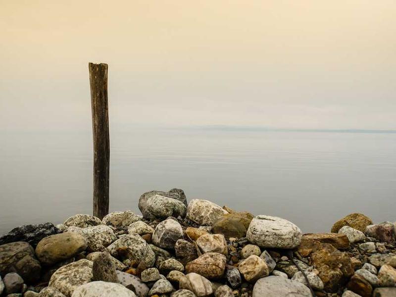 Log File Analysis: Uncovering Crawl Budget Waste